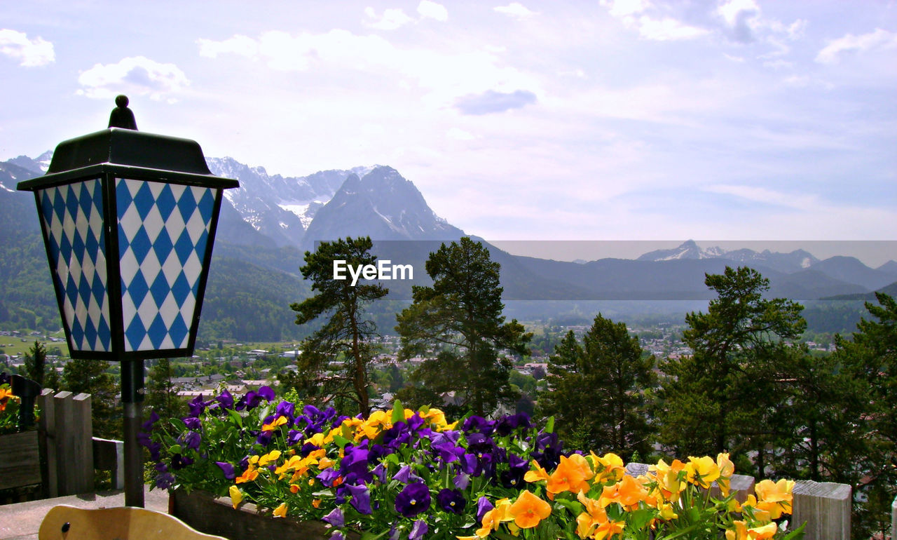 Lamp by flowers and trees against sky