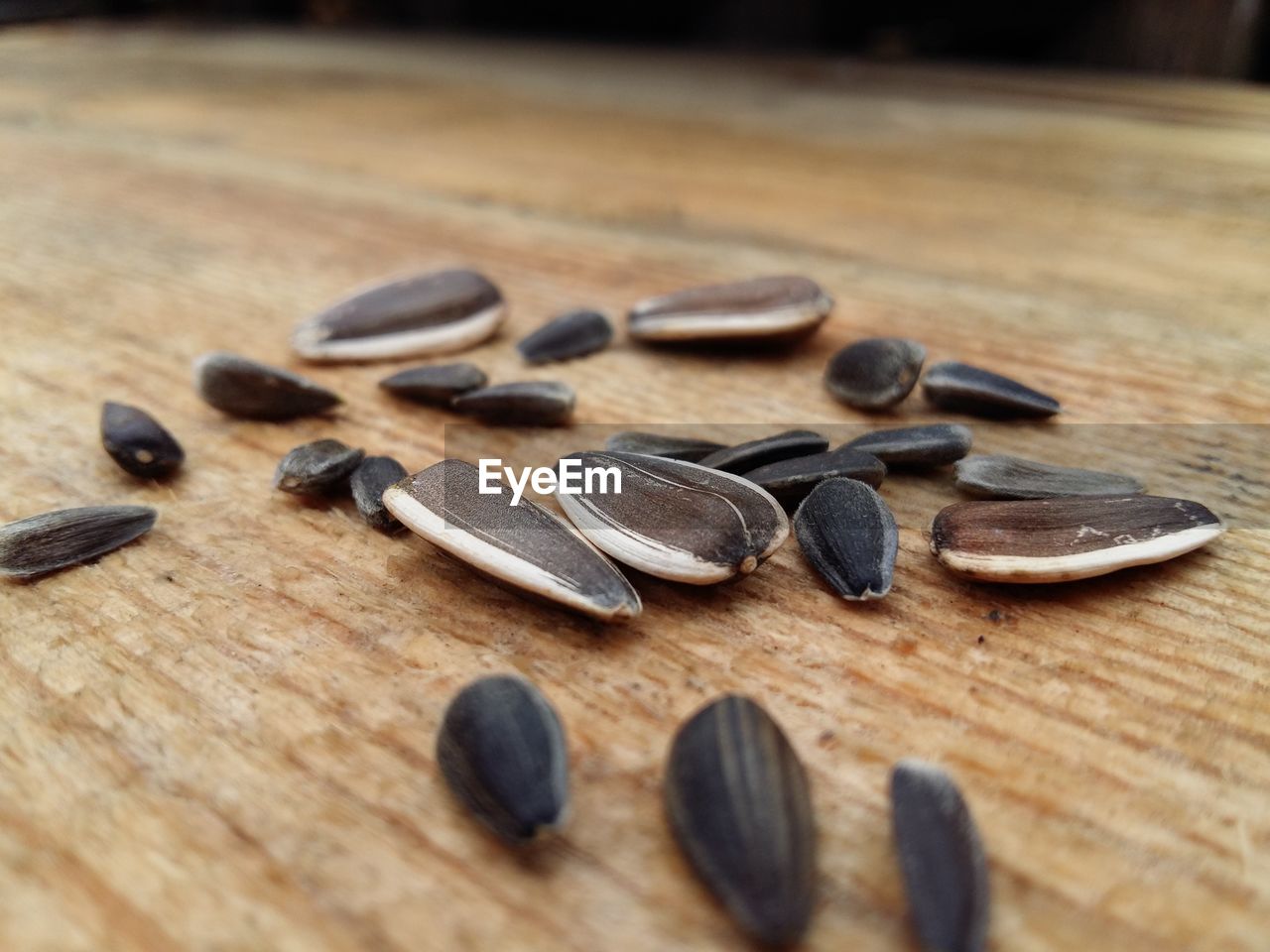 Close-up of objects on wooden wall