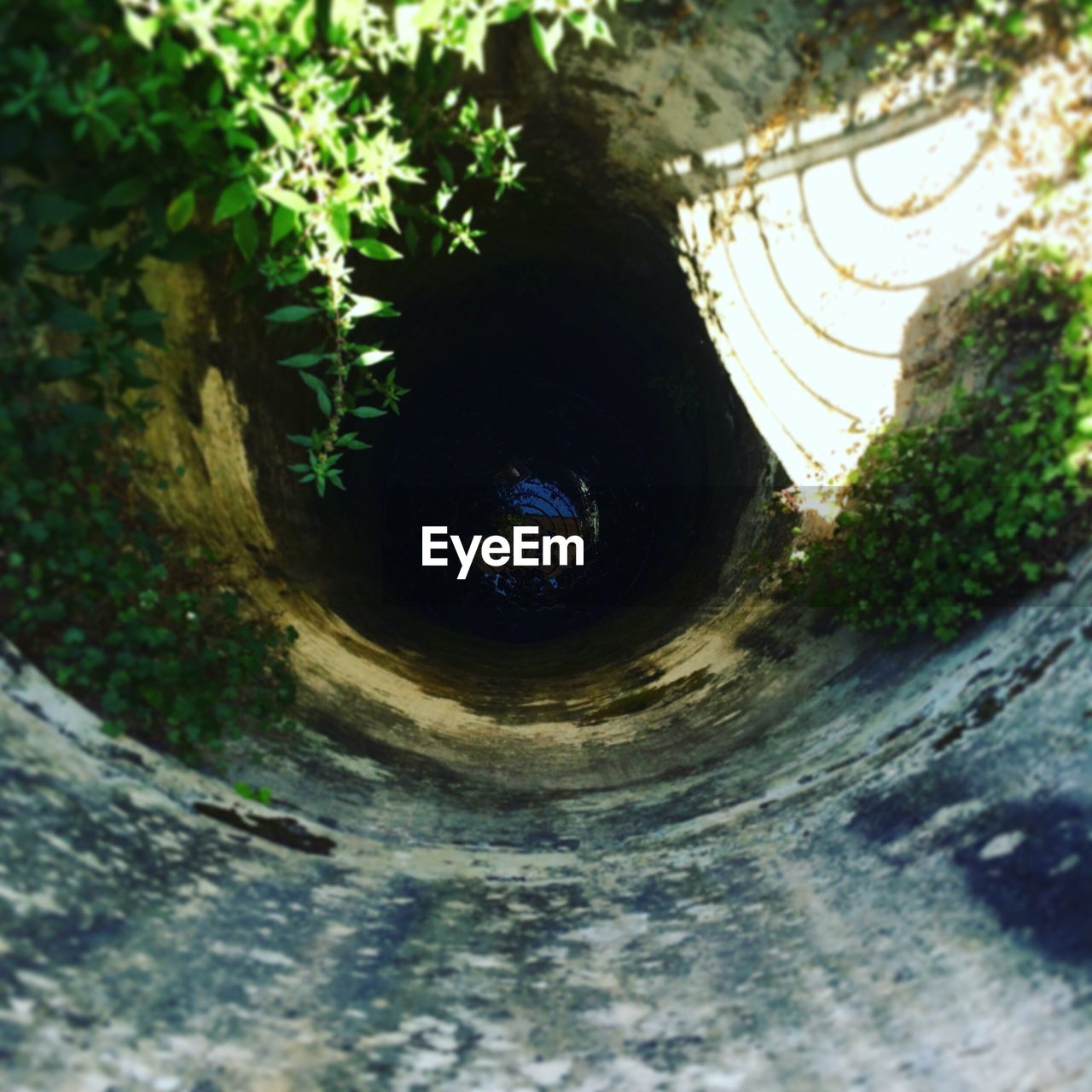 VIEW OF TUNNEL WITH TREES IN BACKGROUND