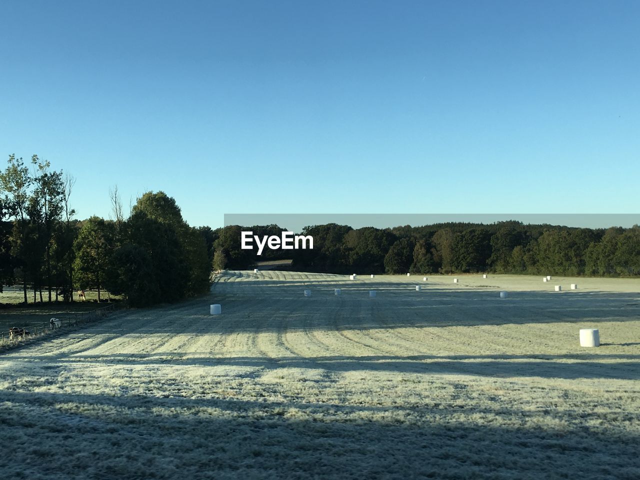 SCENIC VIEW OF SNOWY FIELD AGAINST CLEAR SKY