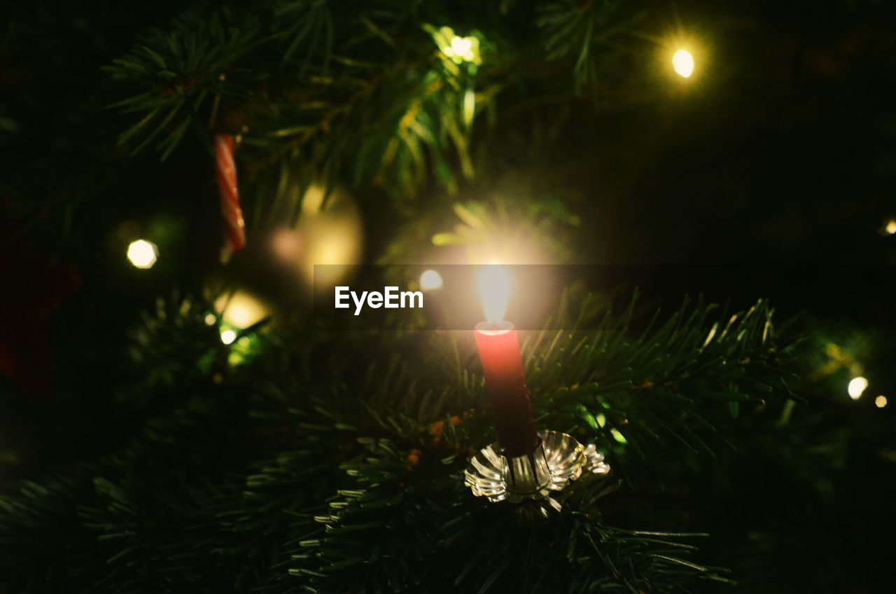 CLOSE-UP OF ILLUMINATED CHRISTMAS TREE