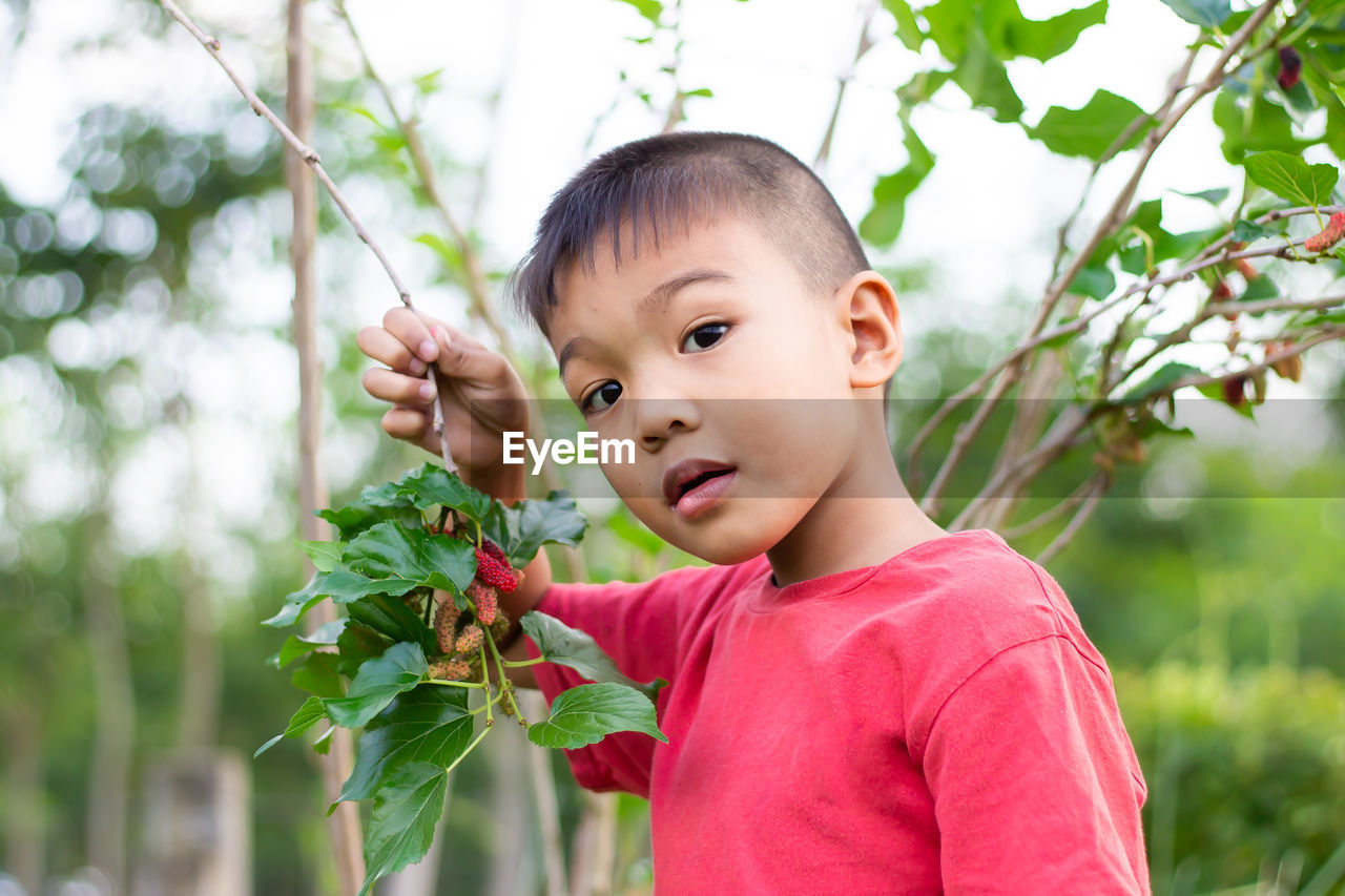 Portrait of boy holding branch