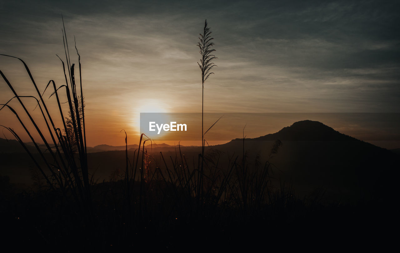 SCENIC VIEW OF SUNSET OVER FIELD