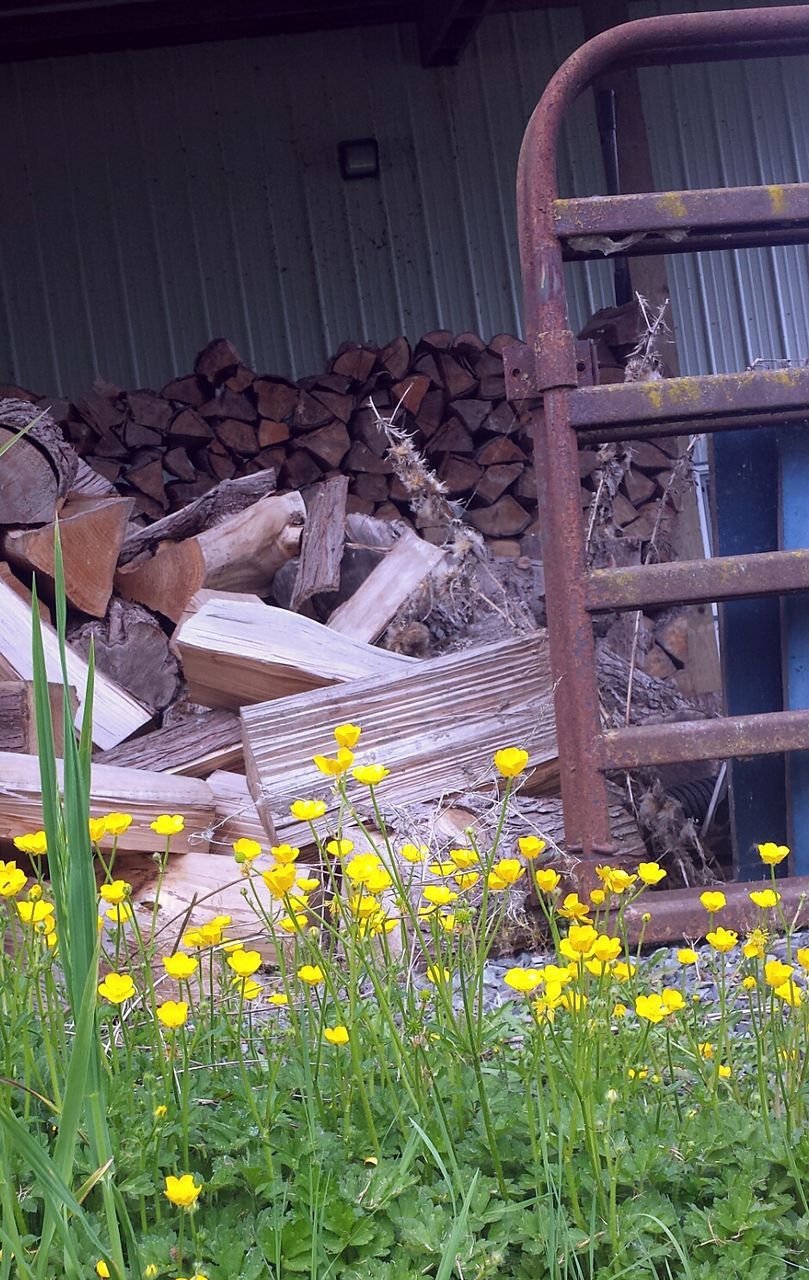 STACK OF FLOWERS GROWING ON STACKED OUTDOORS