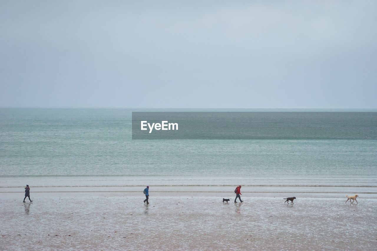 People walking on beach against clear sky