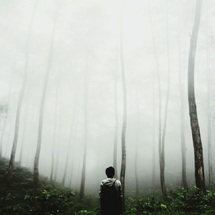 WOMAN STANDING IN FOREST