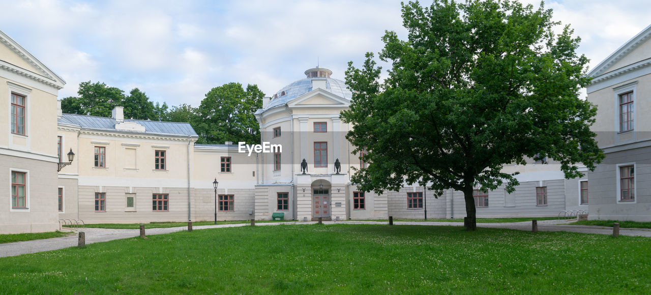 TREES AND BUILDING AGAINST SKY