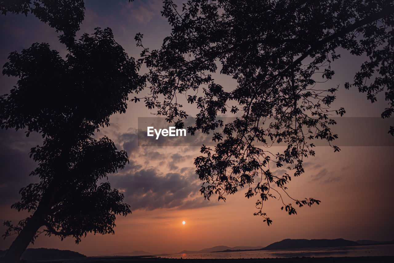 tree, sky, sunset, plant, beauty in nature, cloud, nature, silhouette, scenics - nature, water, tranquility, dawn, evening, environment, sea, landscape, land, tranquil scene, horizon, no people, sunlight, outdoors, sun, idyllic, dramatic sky, travel destinations, beach, orange color, travel, twilight, non-urban scene, darkness, horizon over water, afterglow
