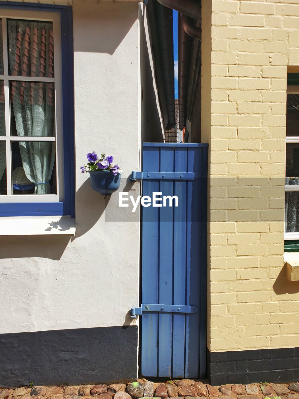 POTTED PLANTS ON WINDOW OF BUILDING