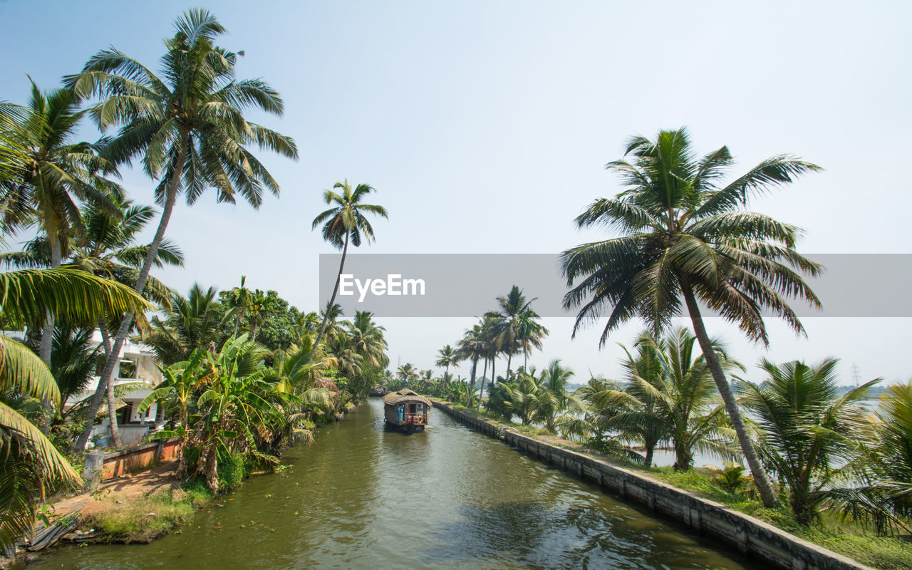 Palm trees by sea against clear sky