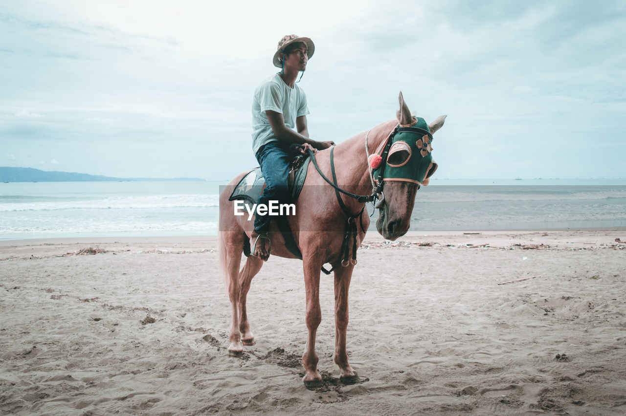 Young man sitting on horse at sandy beach