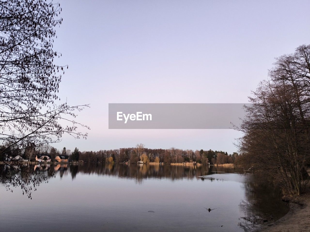 tree, water, reflection, nature, morning, winter, sky, plant, lake, scenics - nature, beauty in nature, tranquility, tranquil scene, body of water, environment, landscape, no people, autumn, dawn, forest, non-urban scene, snow, land, travel destinations, outdoors, wilderness, animal, idyllic, animal wildlife, animal themes, clear sky, bare tree, day, travel