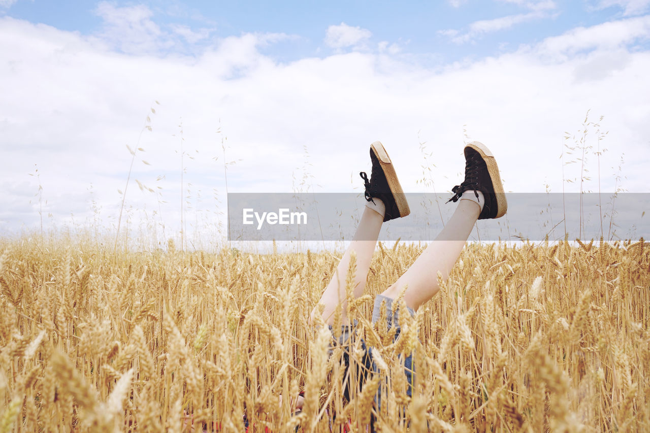 Low section of woman with legs-up amidst cereal plants on field