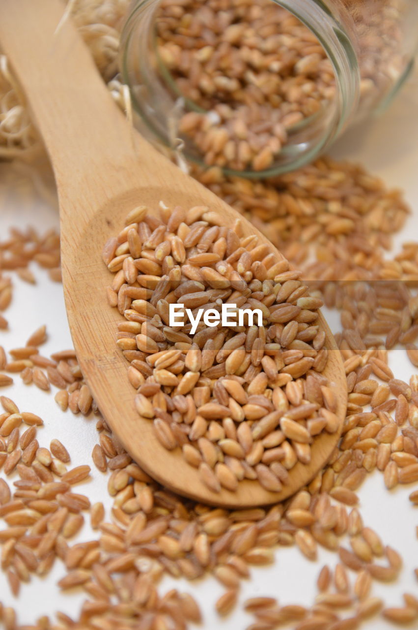 CLOSE-UP OF WHEAT IN BACKGROUND