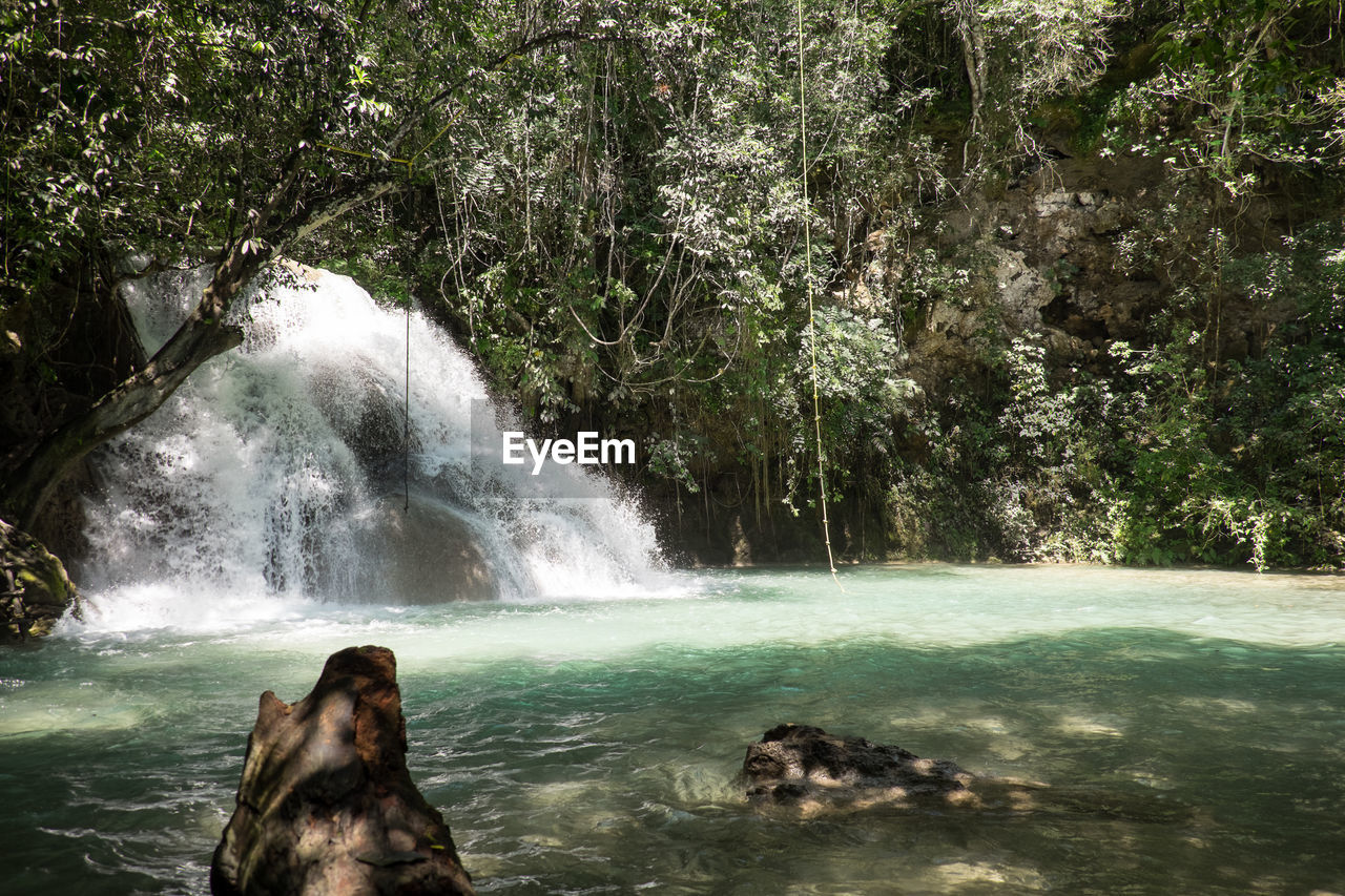 Waterfall in forest