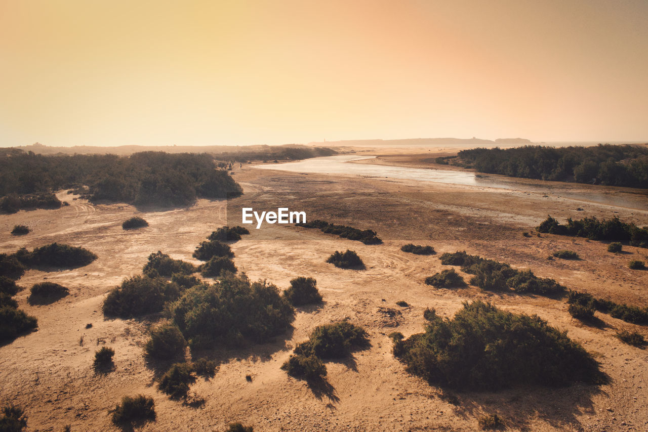 Scenic view of field against clear sky during sunset