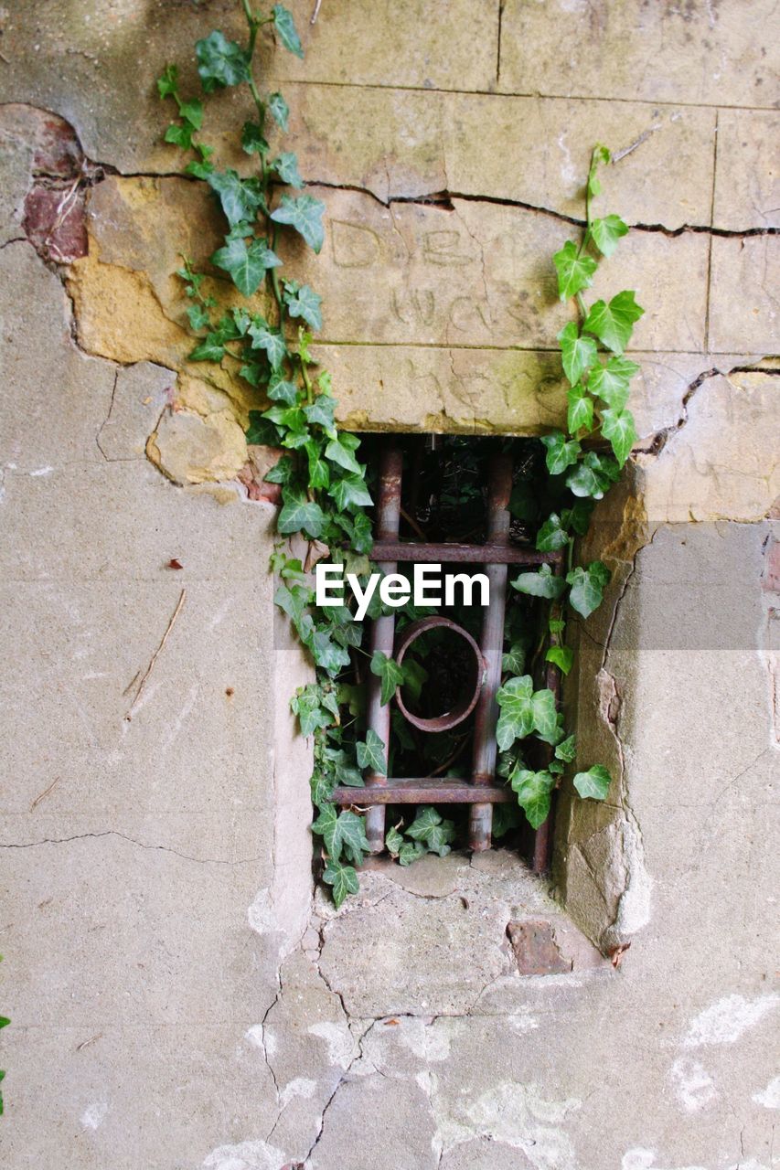 Close-up of window on damaged wall