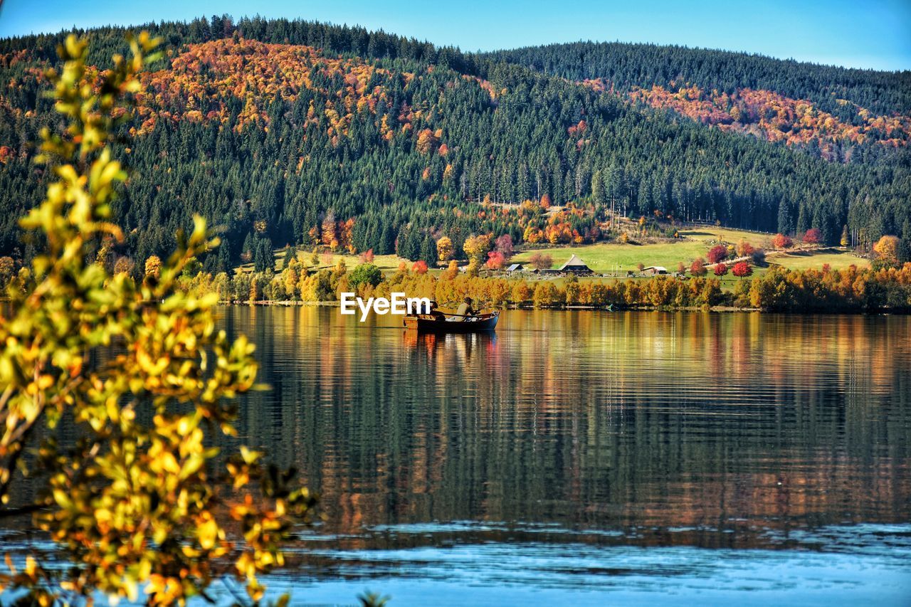 Scenic view of lake by trees