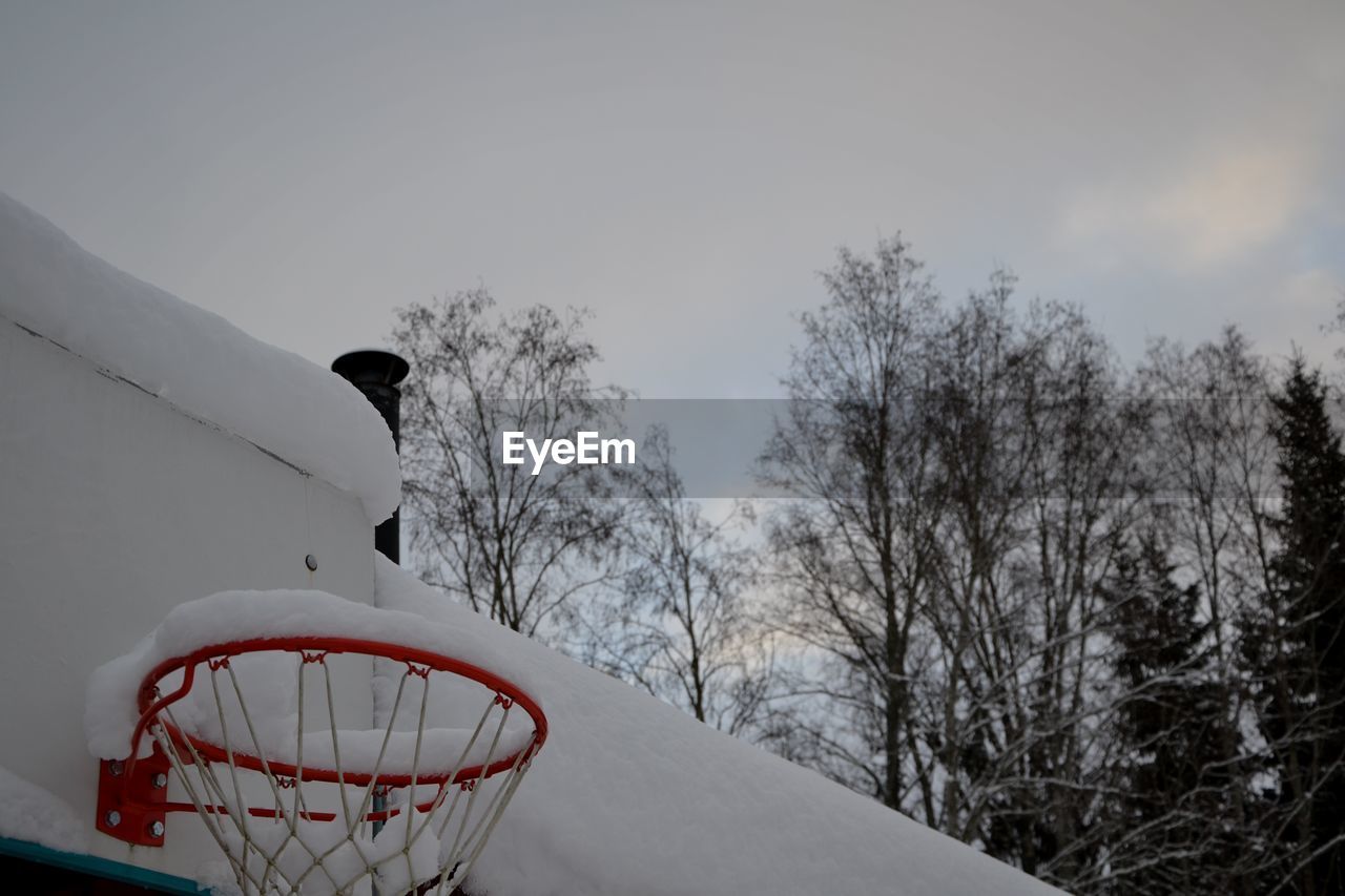 LOW ANGLE VIEW OF SNOW ON BARE TREE AGAINST SKY