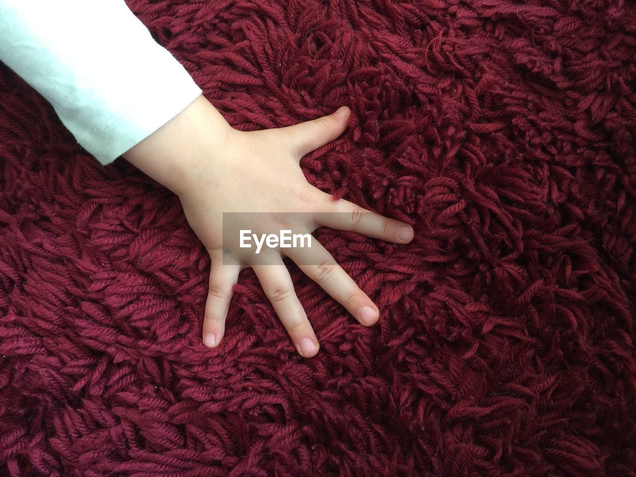 Close-up of hand touching red berries on rug