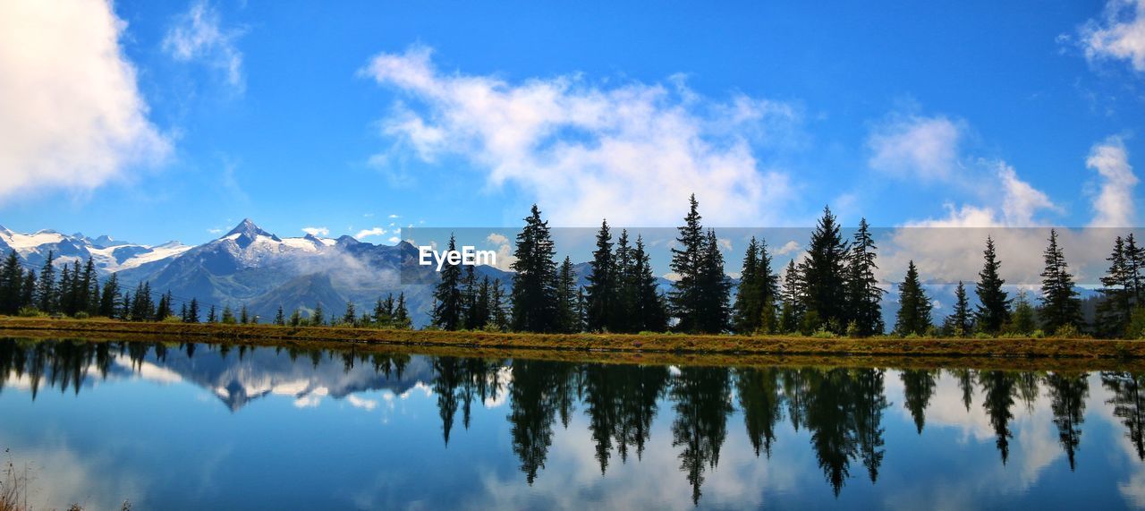 PANORAMIC VIEW OF LAKE AND TREES AGAINST BLUE SKY