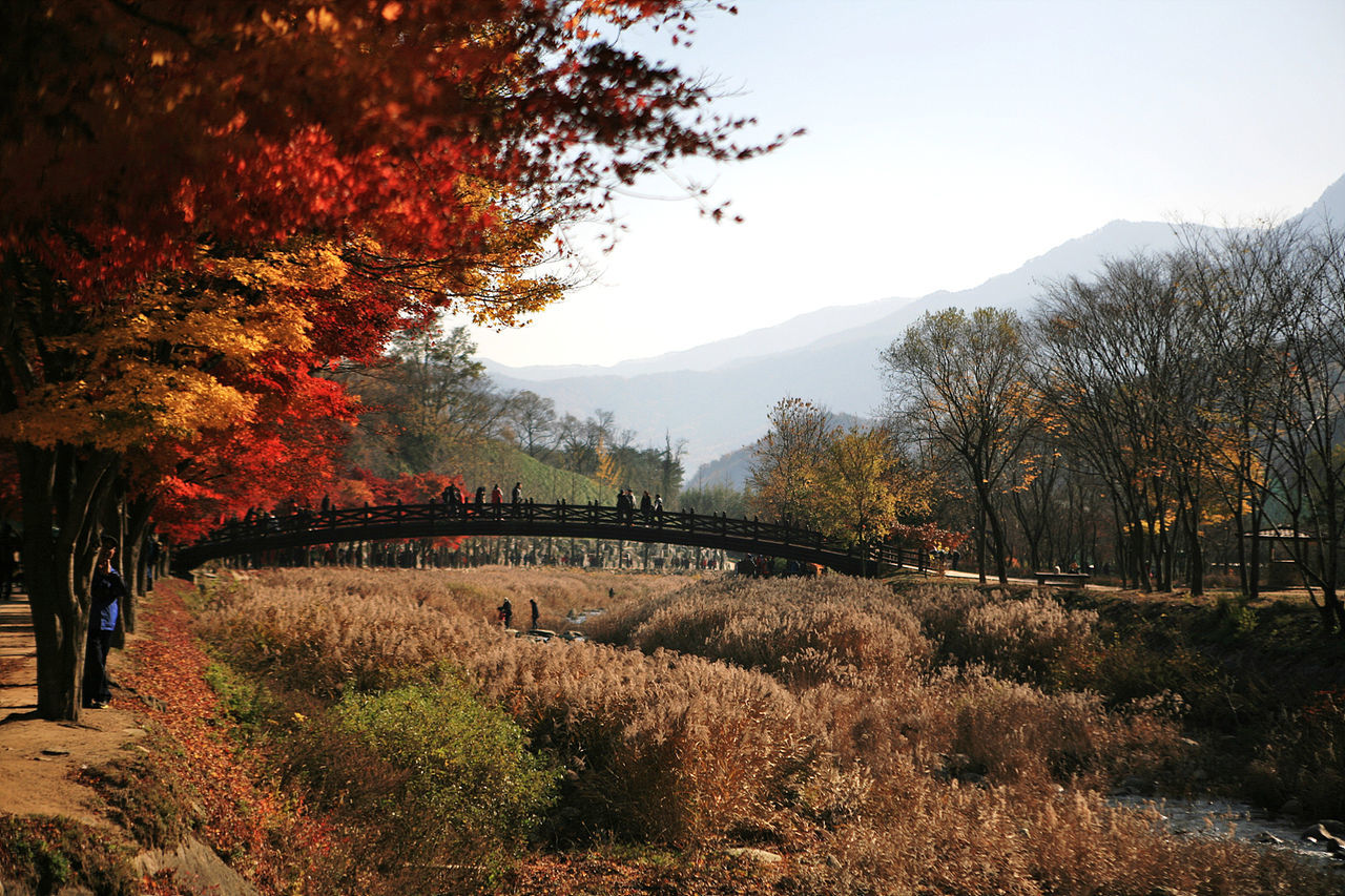 Scenic view of park