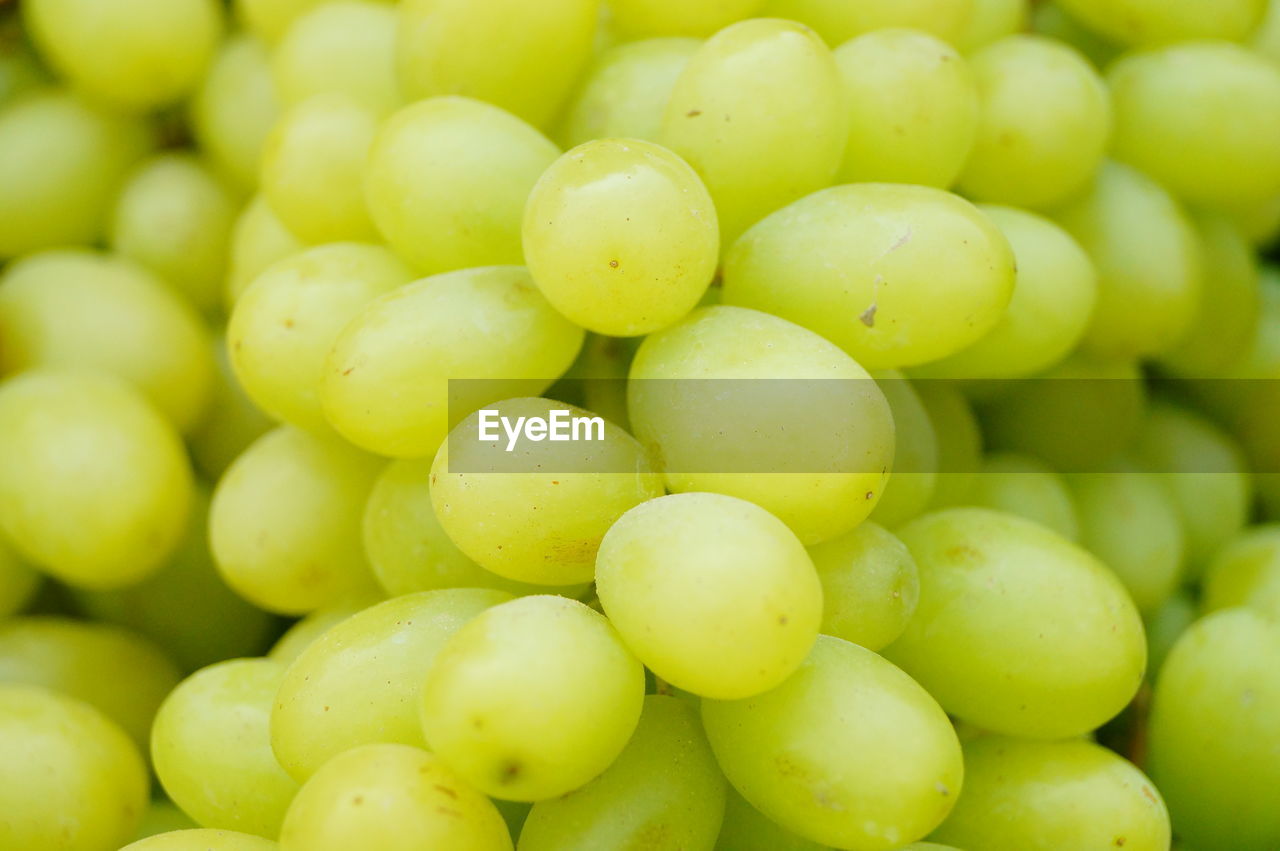 FULL FRAME SHOT OF GRAPES IN GREEN BACKGROUND