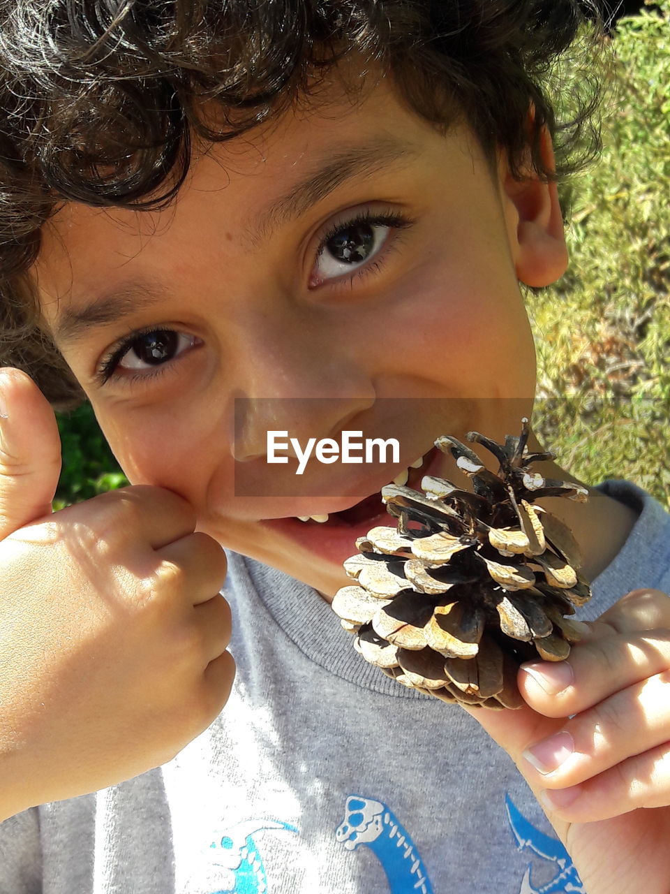 Close-up portrait of boy holding pine cone