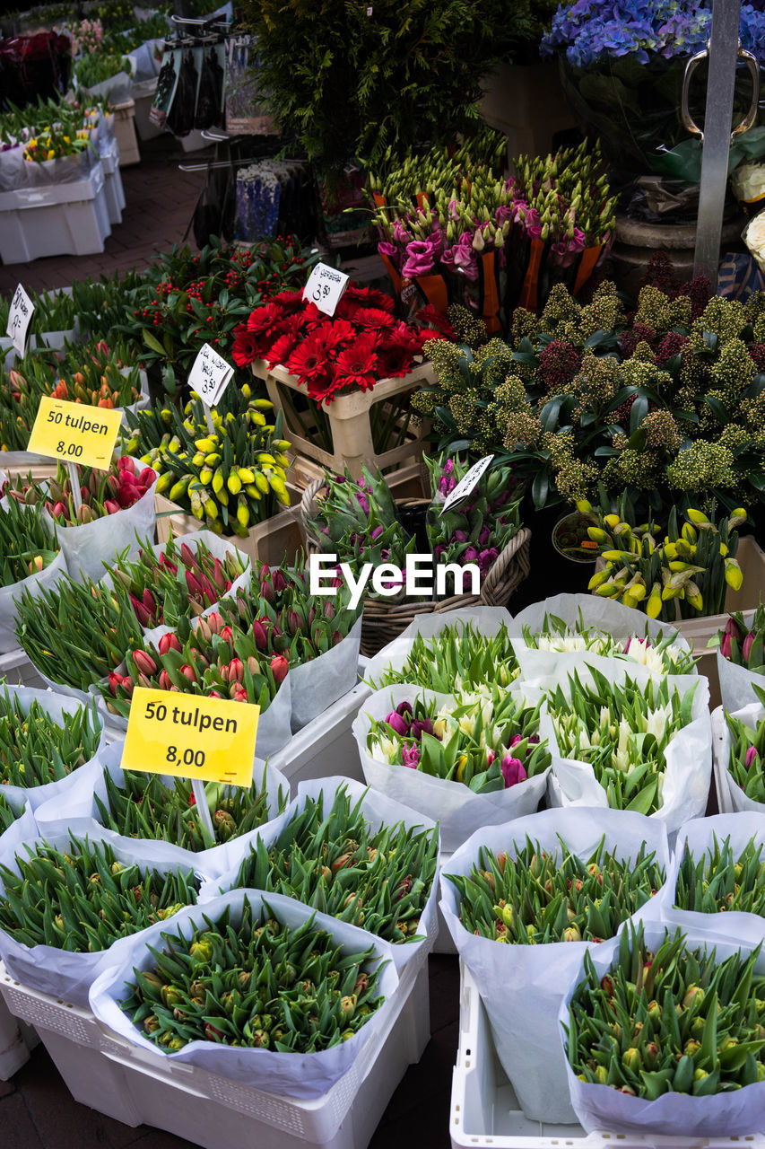 HIGH ANGLE VIEW OF FLOWERS FOR SALE IN MARKET