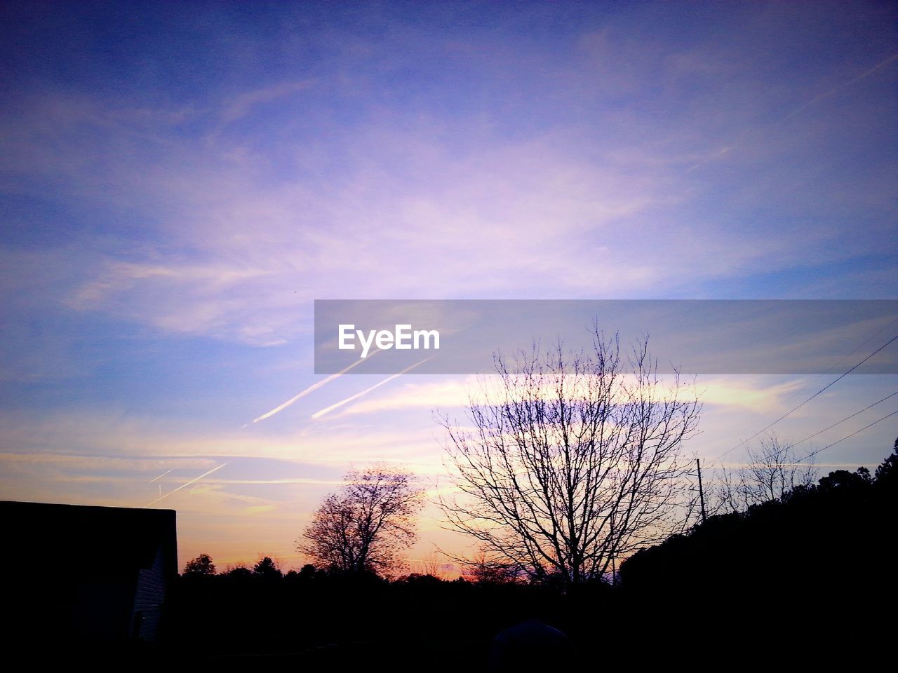 Silhouette of trees against sky at sunset