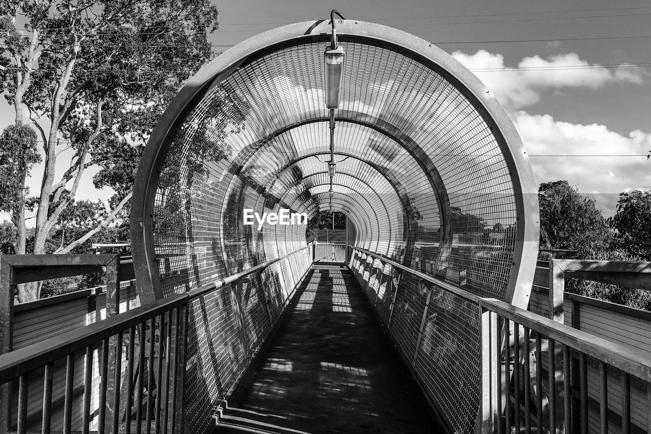 FOOTBRIDGE AGAINST TREES