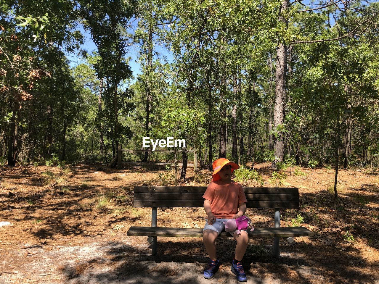 Rear view of boy sitting on land