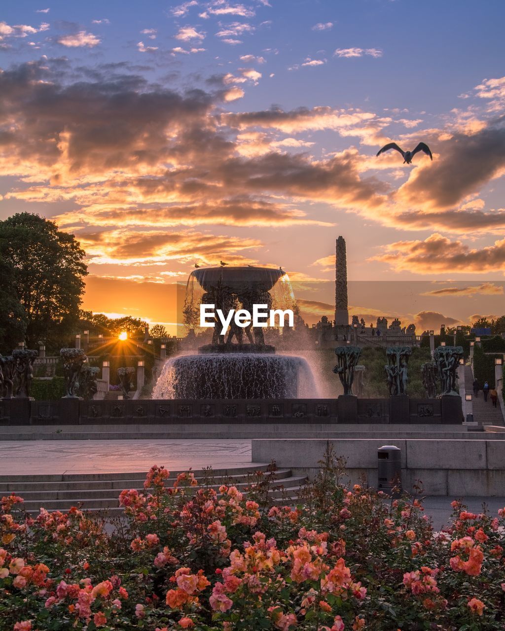 View of fountain in park during sunset