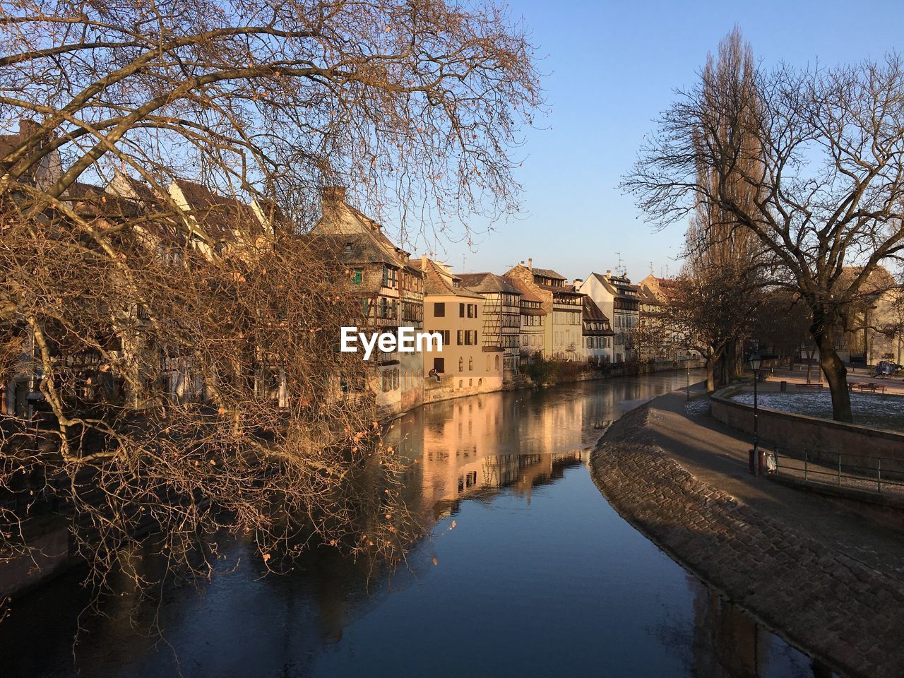 Reflection of bare trees in water against clear sky