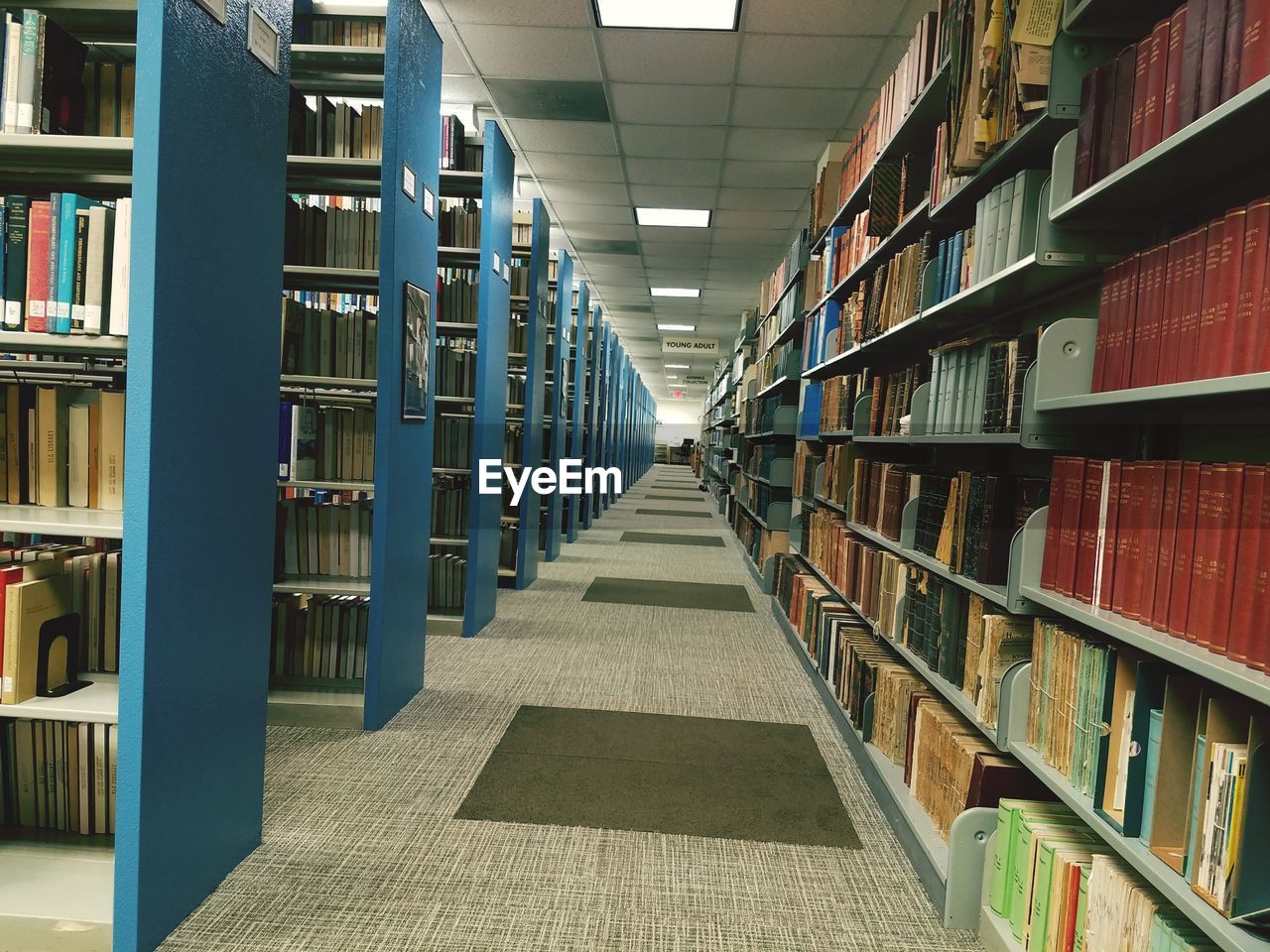 VIEW OF AN EMPTY LIBRARY