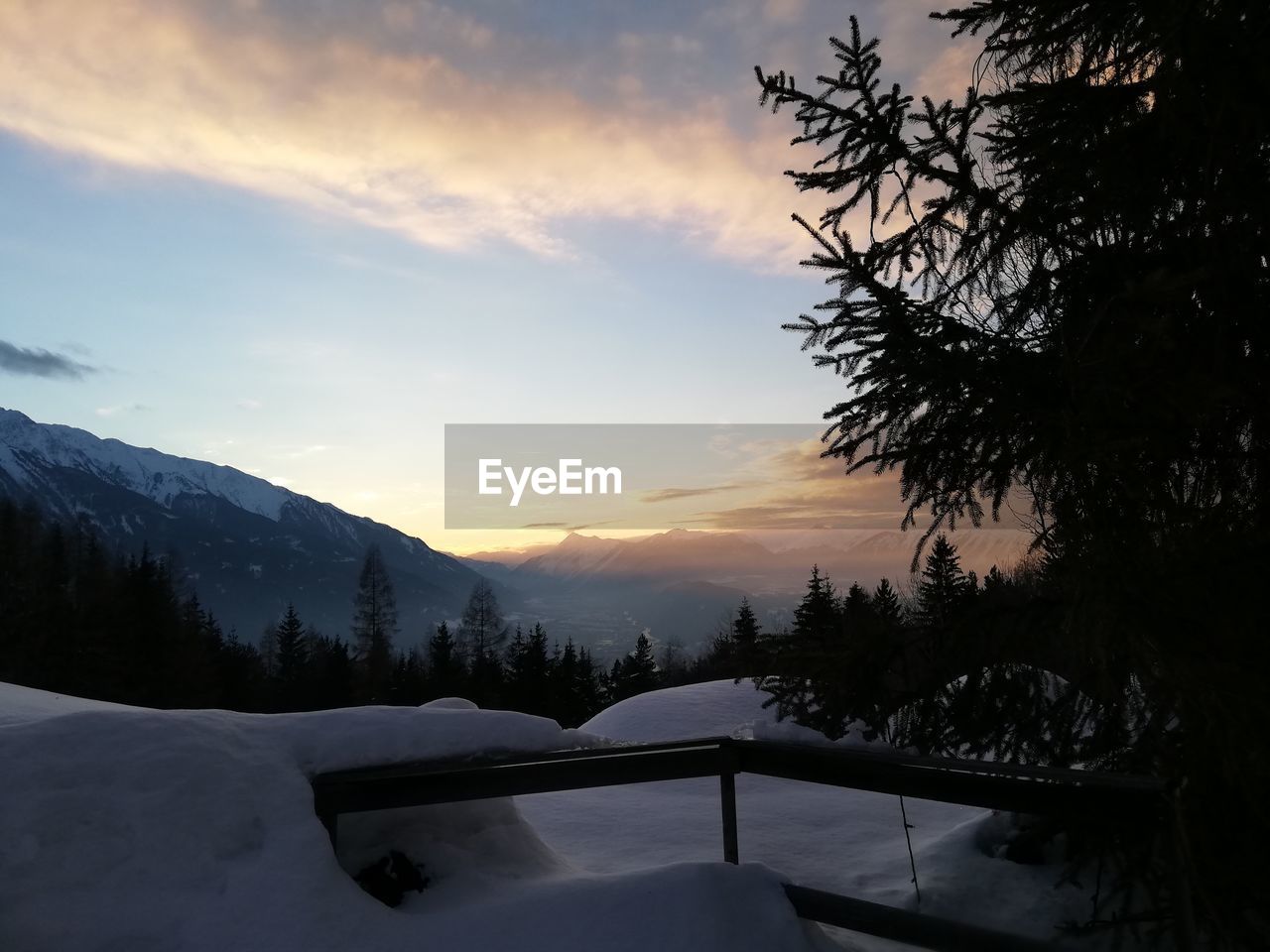 SNOW COVERED PLANTS AGAINST SKY DURING SUNSET