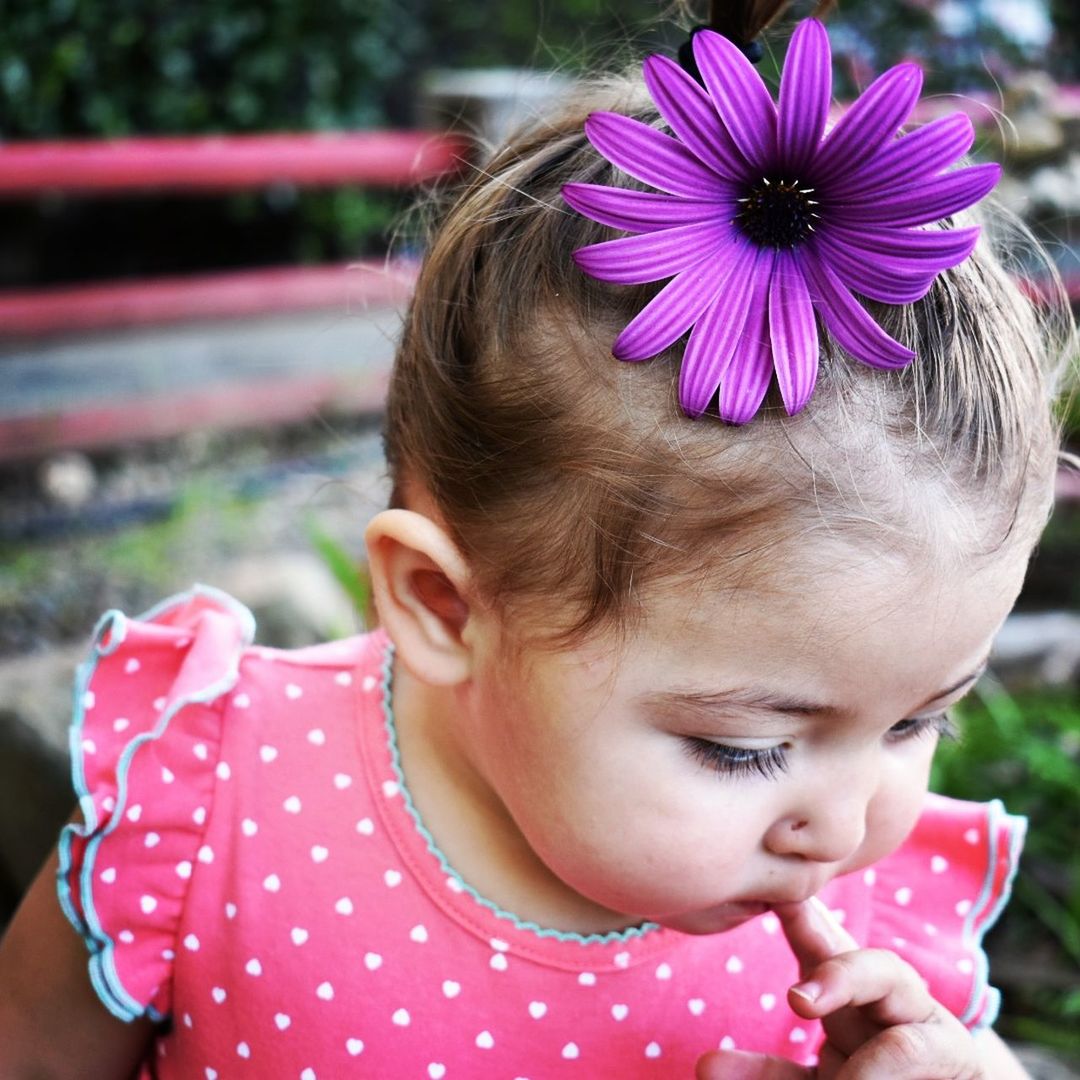 Close-up of cute girl with purple osteospermum flower