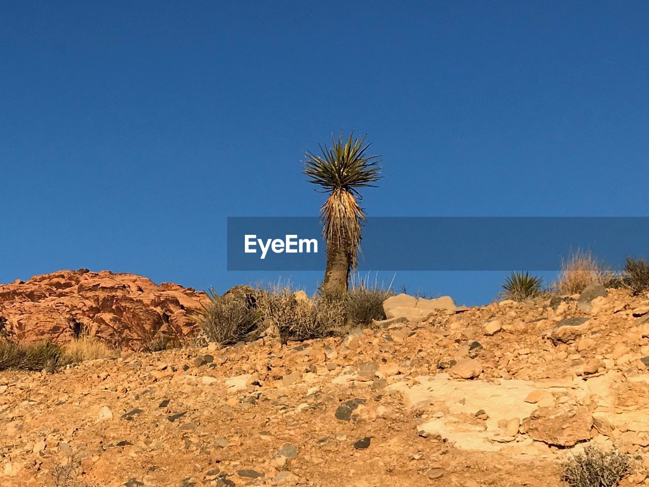 Scenic view of desert against clear blue sky