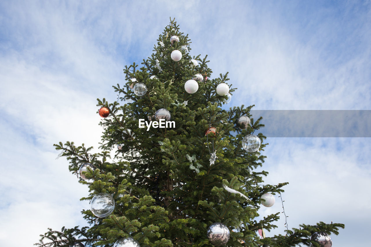LOW ANGLE VIEW OF TREE AGAINST SKY WITH CHRISTMAS TREES