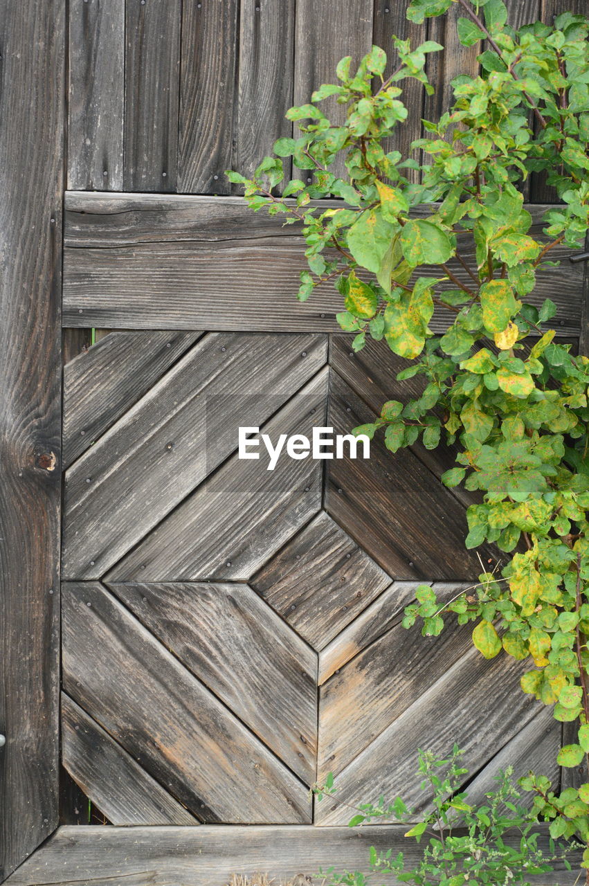 View of wooden door