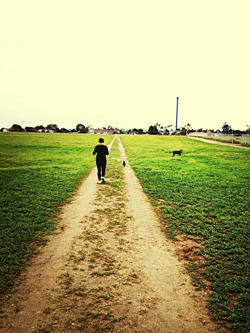 MAN WALKING ON ROAD IN FIELD