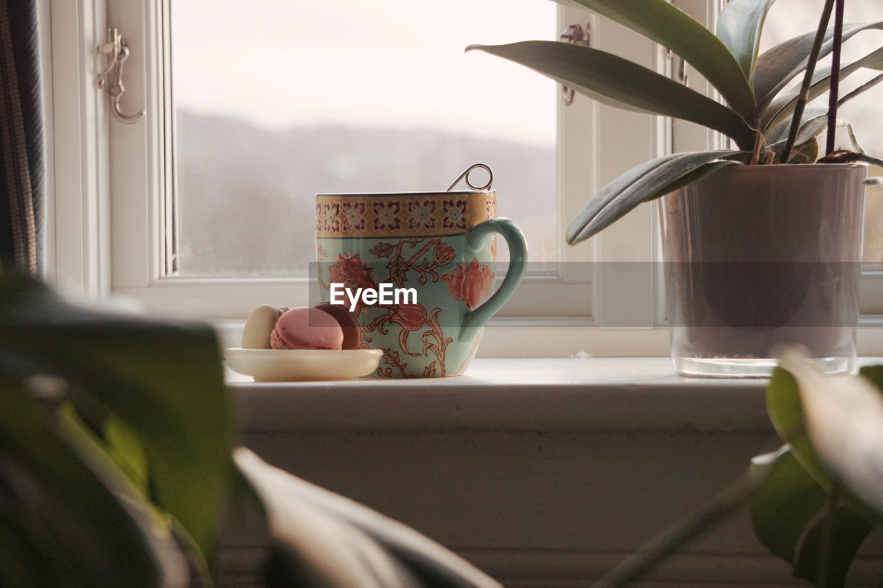 CLOSE-UP OF POTTED PLANTS ON TABLE AT HOME