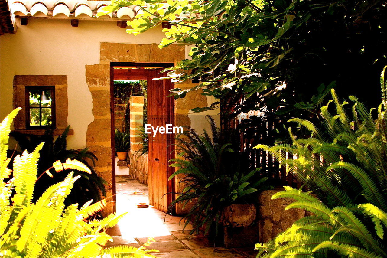 Front door of house in garden