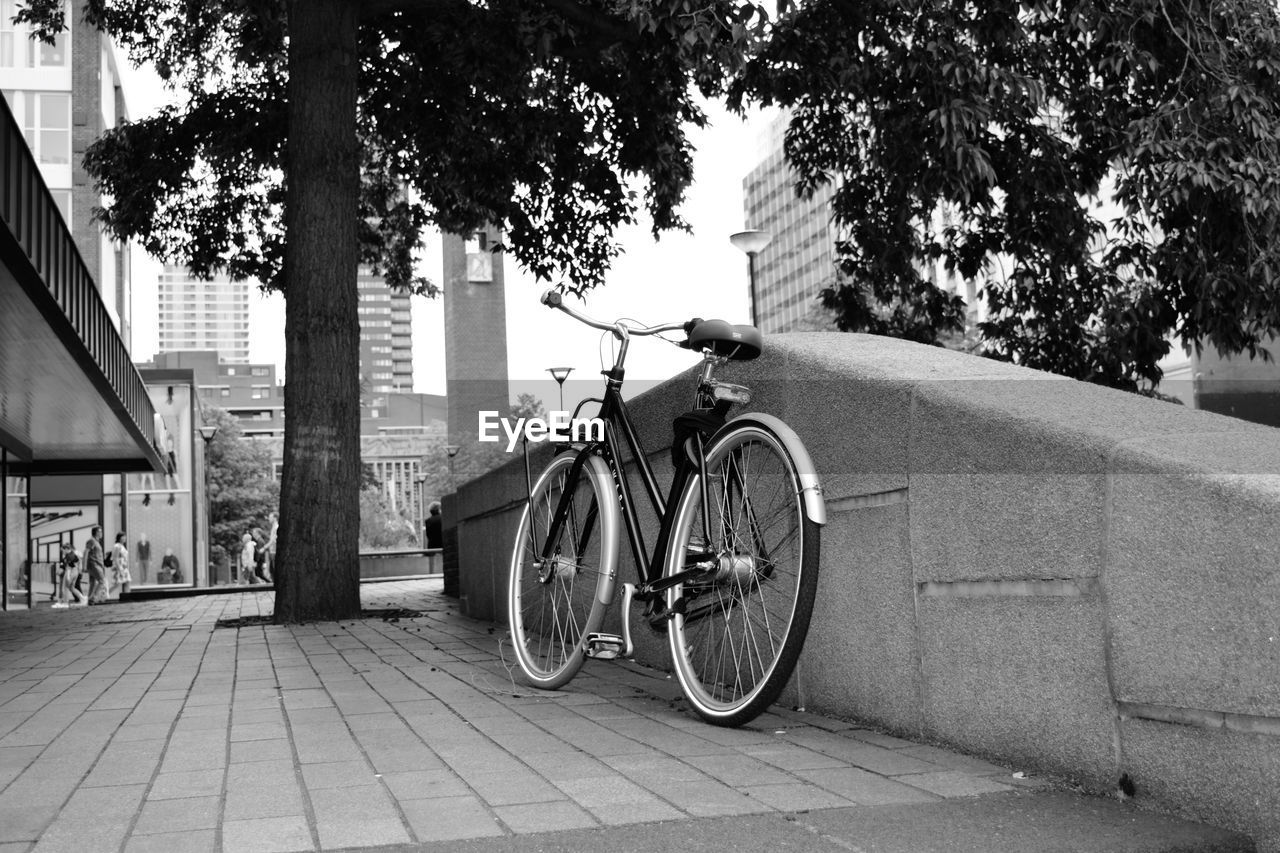 transportation, road, black and white, street, tree, bicycle, architecture, black, monochrome, monochrome photography, plant, land vehicle, mode of transportation, city, building exterior, built structure, white, lane, infrastructure, day, wheel, cycling, footpath, nature, bicycle wheel, vehicle, sports equipment, outdoors, tire, snapshot, sidewalk, no people, sunlight, building