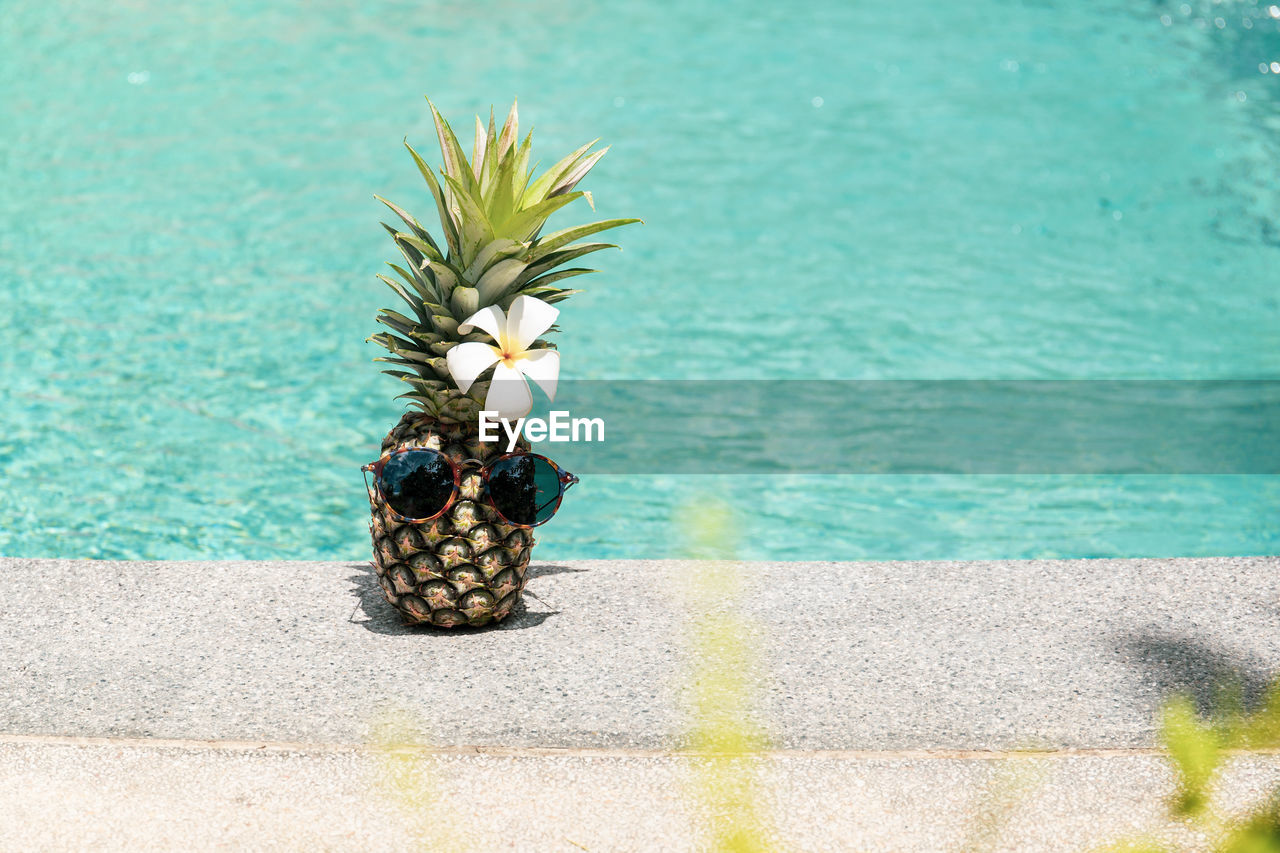 Concept ual funny pineapple with sunglasses and flower next to swimming pool