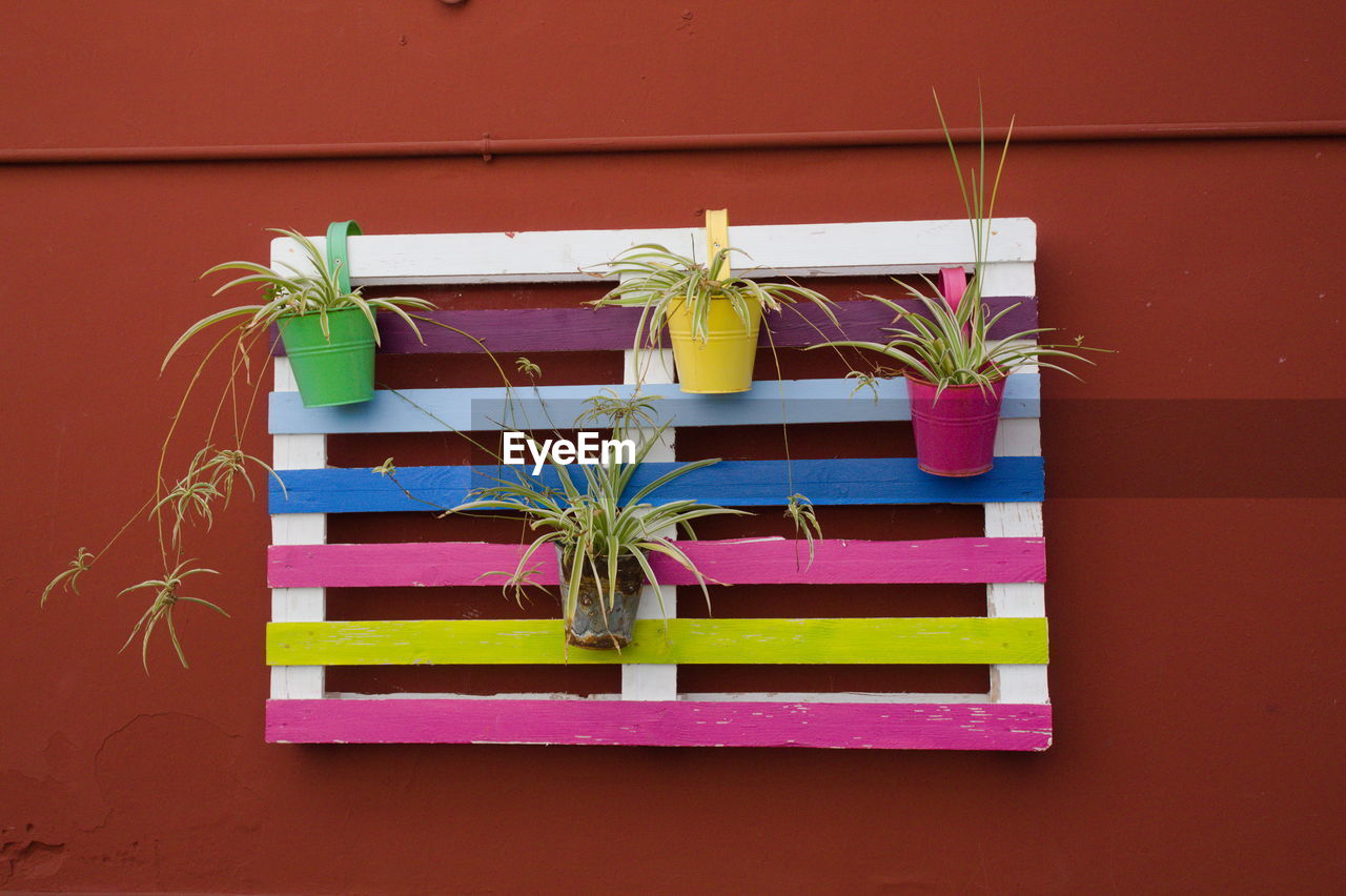 POTTED PLANTS ON WALL