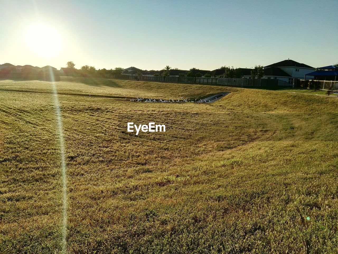 SCENIC VIEW OF GRASSY FIELD AGAINST SKY DURING SUNSET