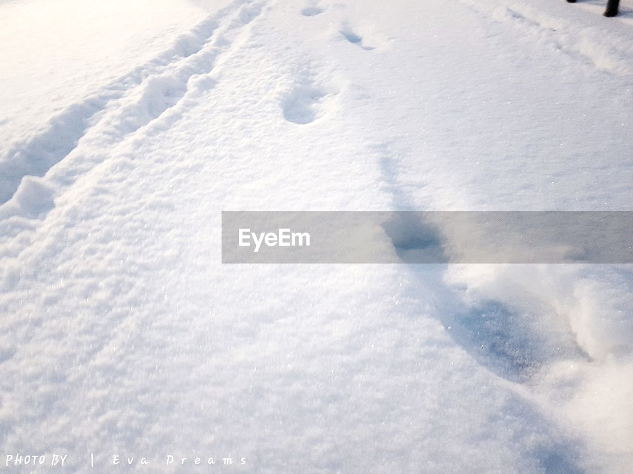 HIGH ANGLE VIEW OF SNOW FIELD