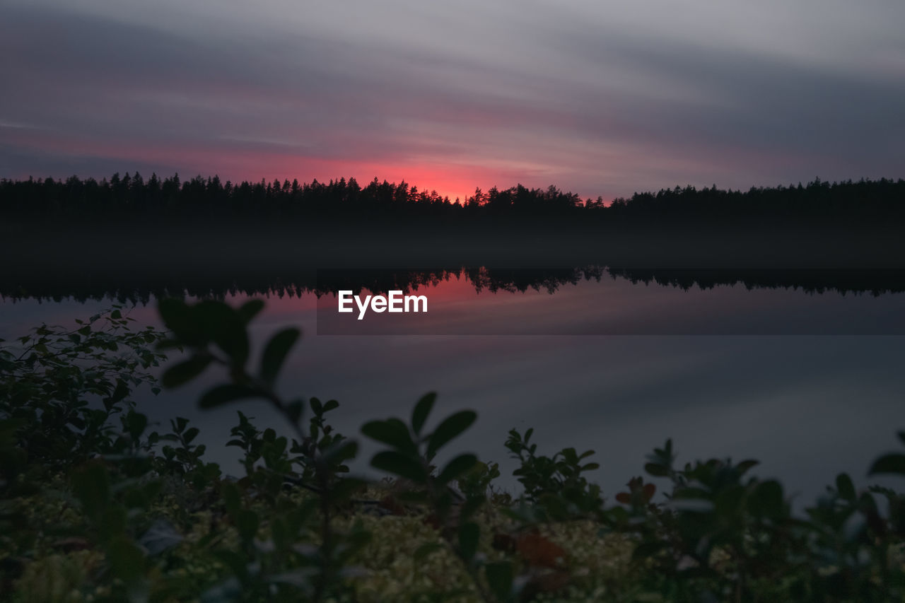 Picturesque landscape in the evening. forest lake. glow from the setting sun.