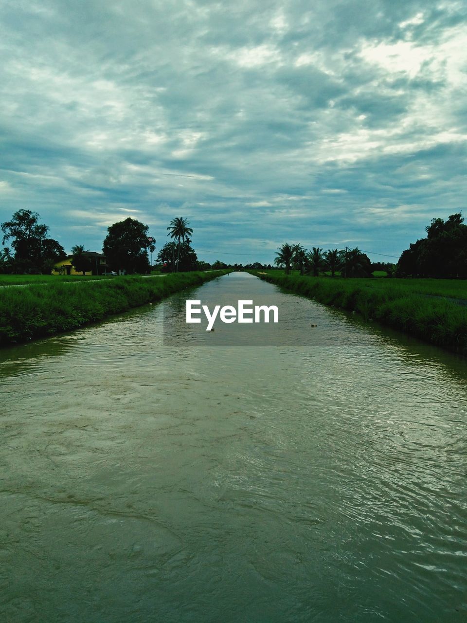 RIVER FLOWING AMIDST TREES AGAINST SKY